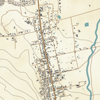 Prince Albert | Antique Patina