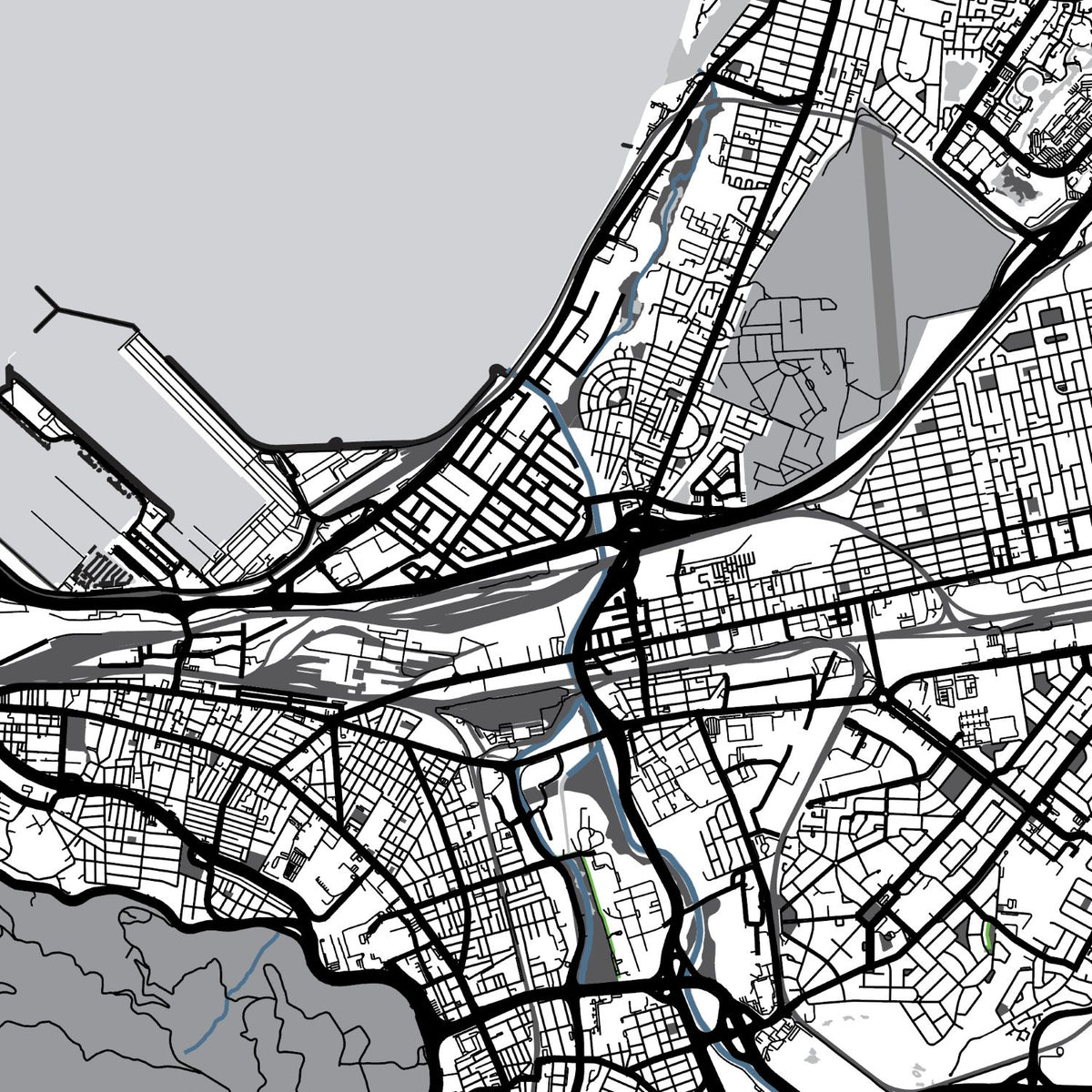 Close-up detail of the Cape Peninsula and Robben Island Grey map print, showing the fine line work and quality of the full-size print