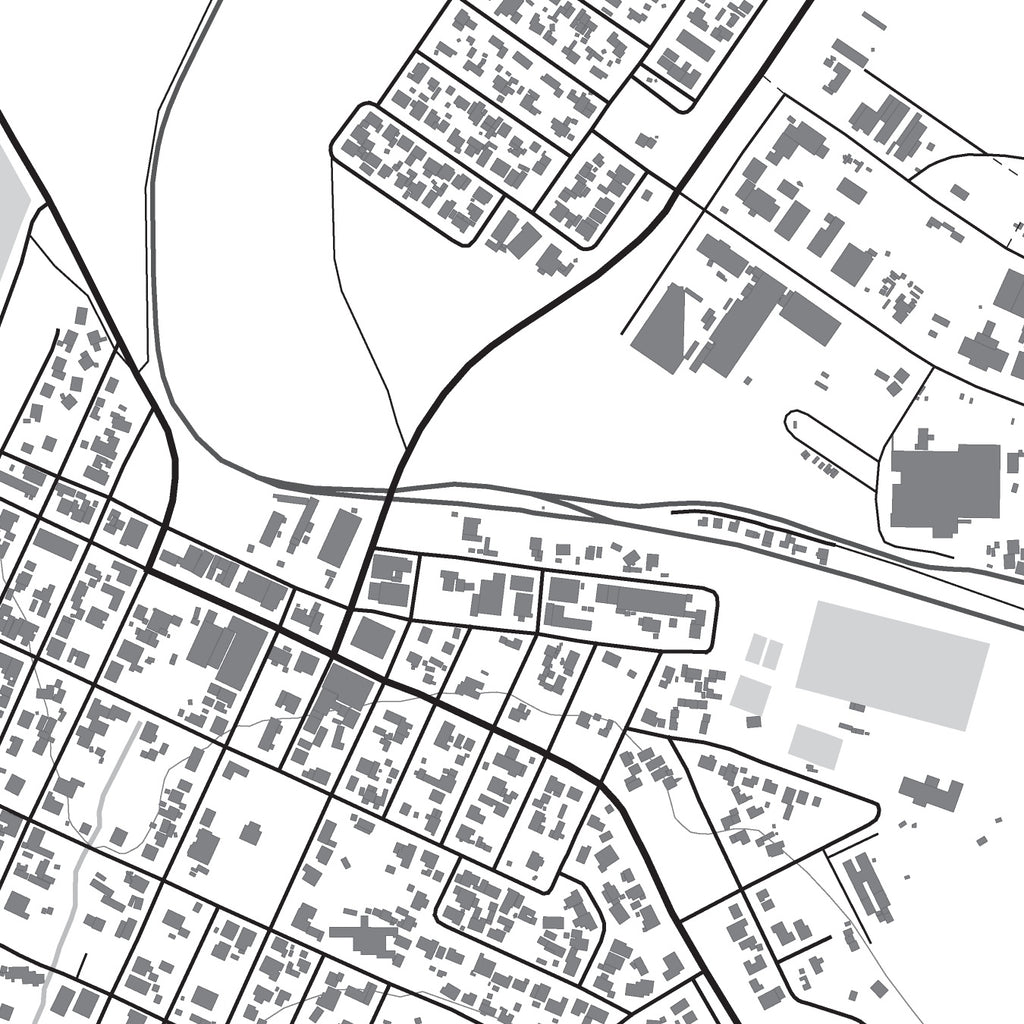 Close-up detail of the Darling Mono map print, showing the fine line work and quality of the full-size print
