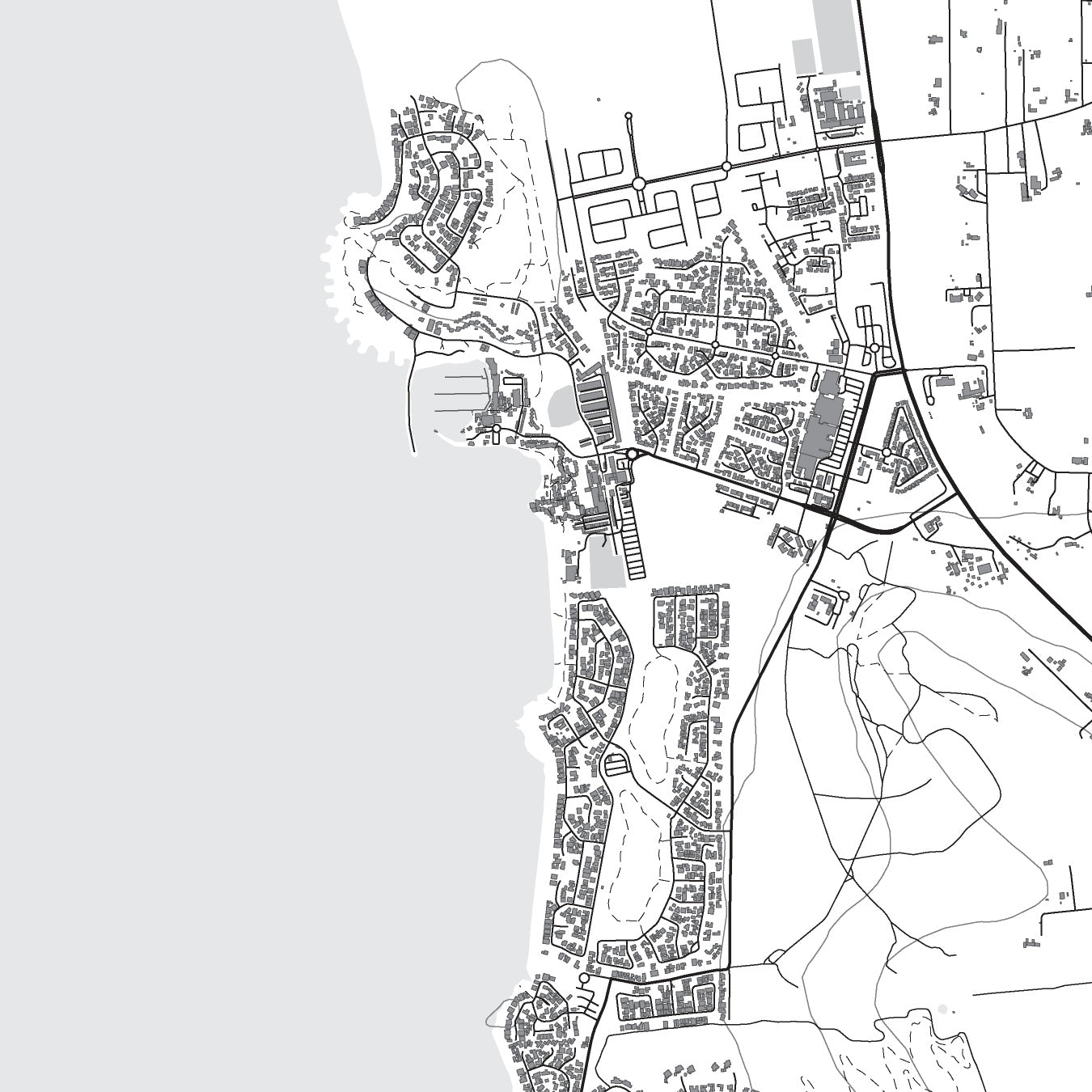 Close-up detail of the Langebaan Mono map print, showing the fine line work and quality of the full-size print