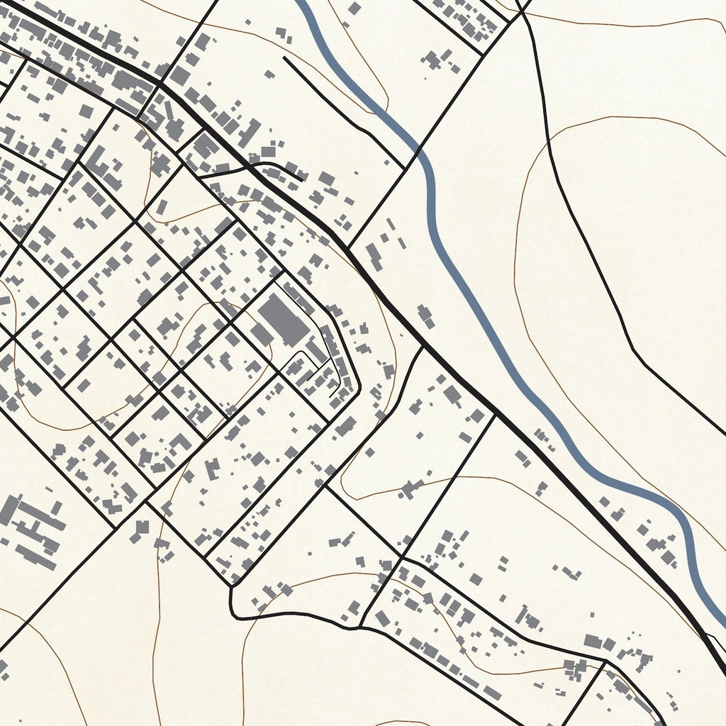 Close-up detail of the Napier Classic map print, showing the fine line work and quality of the full-size print