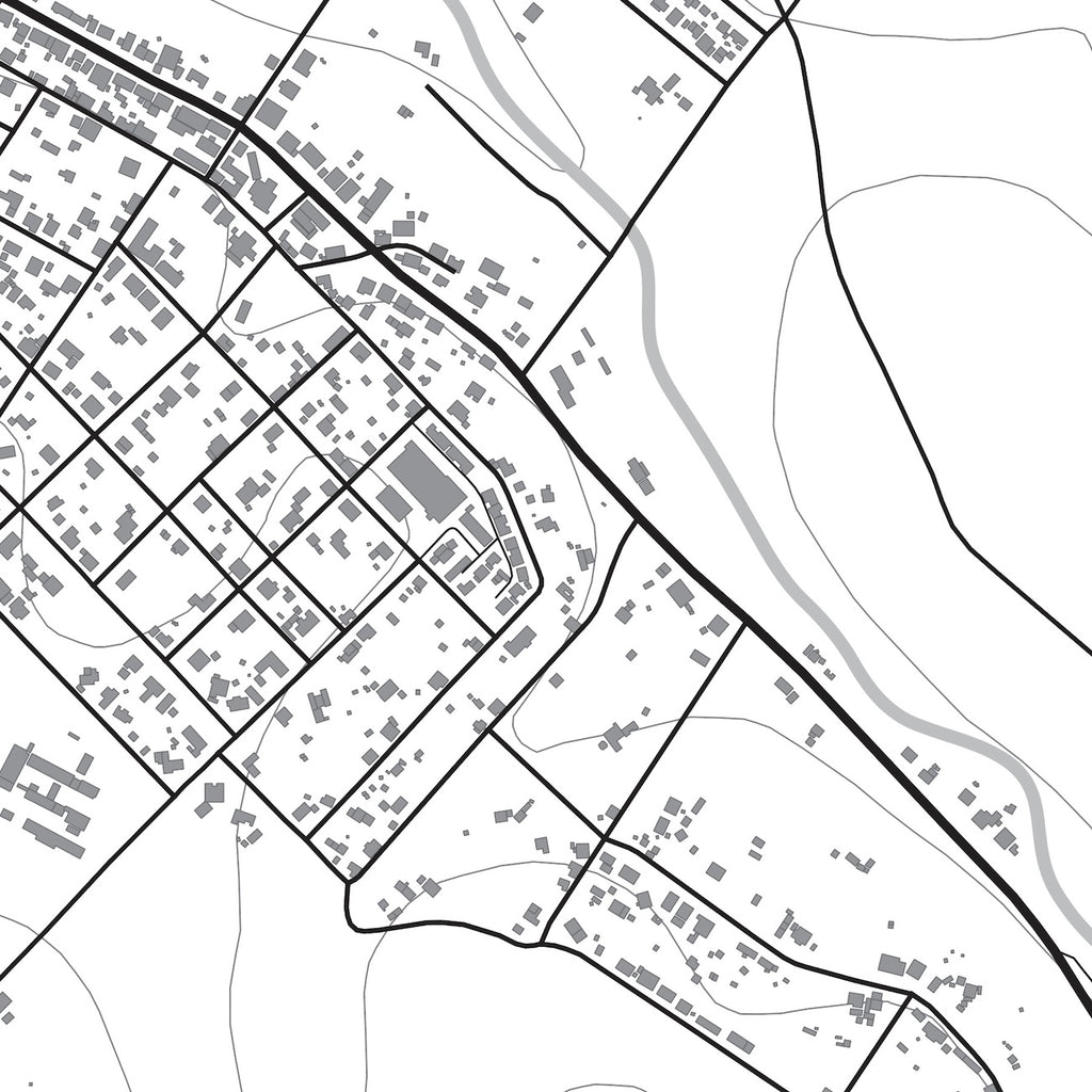 Close-up detail of the Napier Mono map print, showing the fine line work and quality of the full-size print