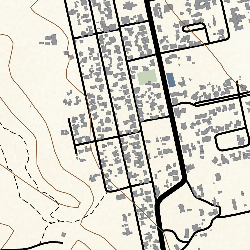 Close-up detail of the Prince Albert Classic map print, showing the fine line work and quality of the full-size print
