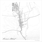 Prince Albert map print in the Mono style, a black and white design with dark street lines, grey waterways, nature reserves and buildings, and fine contour lines on a white background 