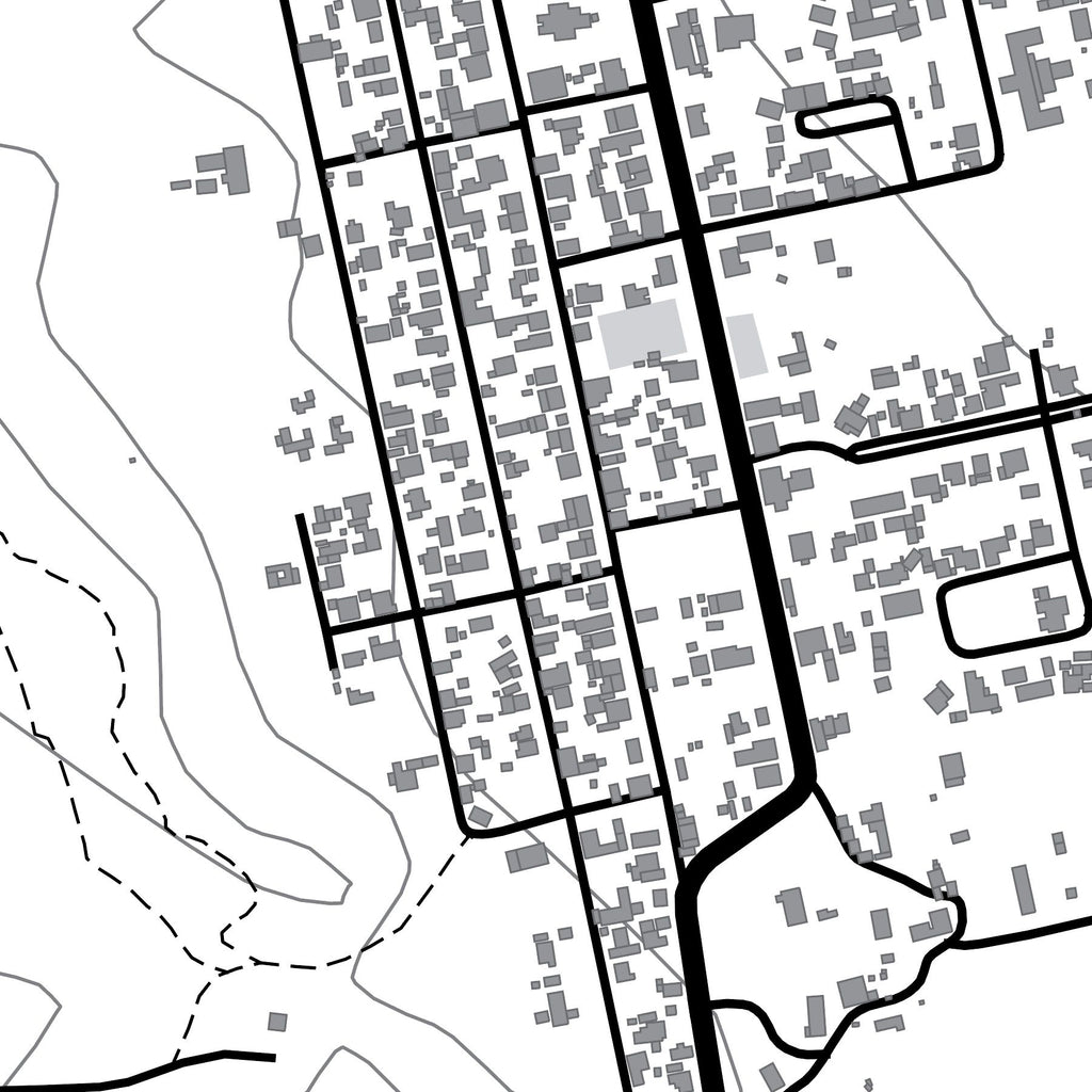 Close-up detail of the Prince Albert Mono map print, showing the fine line work and quality of the full-size print