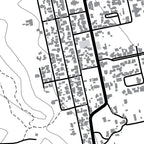Close-up detail of the Prince Albert Mono map print, showing the fine line work and quality of the full-size print