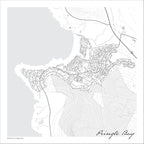 Pringle Bay map print in the minimalist Mono style, a black and white design with dark street lines, the sea in pale grey along the coastline, and fine contour lines on a white background