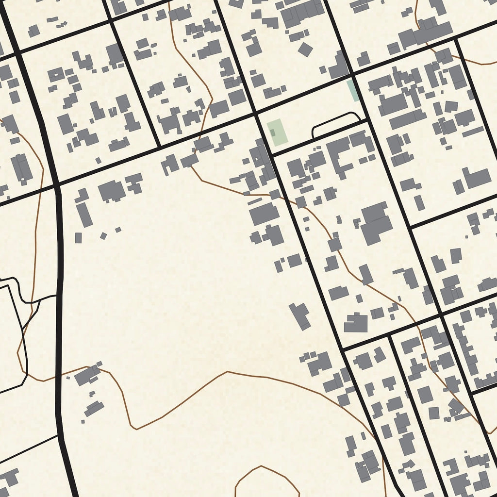 Close-up detail of the Riebeek-Kasteel Classic map print, showing the fine line work and quality of the full-size print
