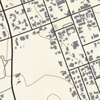 Close-up detail of the Riebeek-Kasteel Classic map print, showing the fine line work and quality of the full-size print