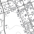 Close-up detail of the Riebeek-Kasteel Mono map print, showing the fine line work and quality of the full-size print