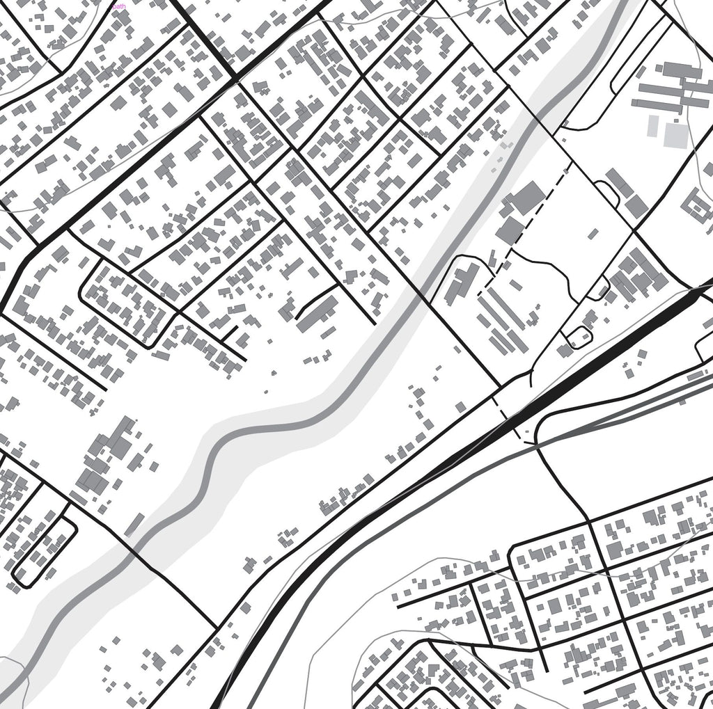 Close-up detail of the Swellendam Mono map print, showing the fine line work and quality of the full-size print.